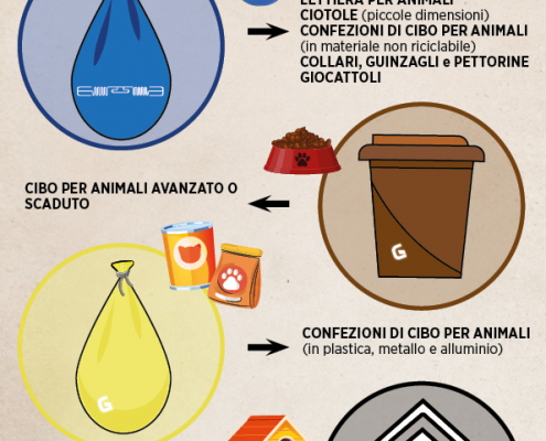, La Finestra sull’Ambiente, Gelsia Ambiente, Gelsia Ambiente