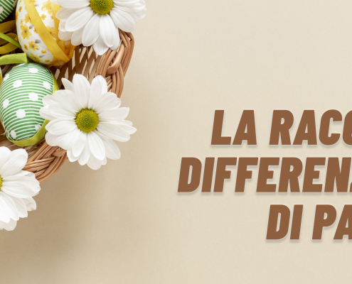 , La Finestra sull’Ambiente, Gelsia Ambiente, Gelsia Ambiente
