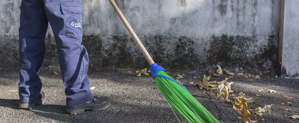 , Autunno in Brianza: Gelsia Ambiente attiva i servizi straordinari per la raccolta delle foglie, Gelsia Ambiente