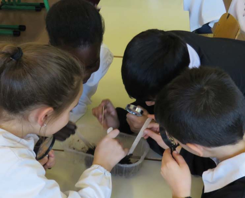 , News, Gelsia Ambiente