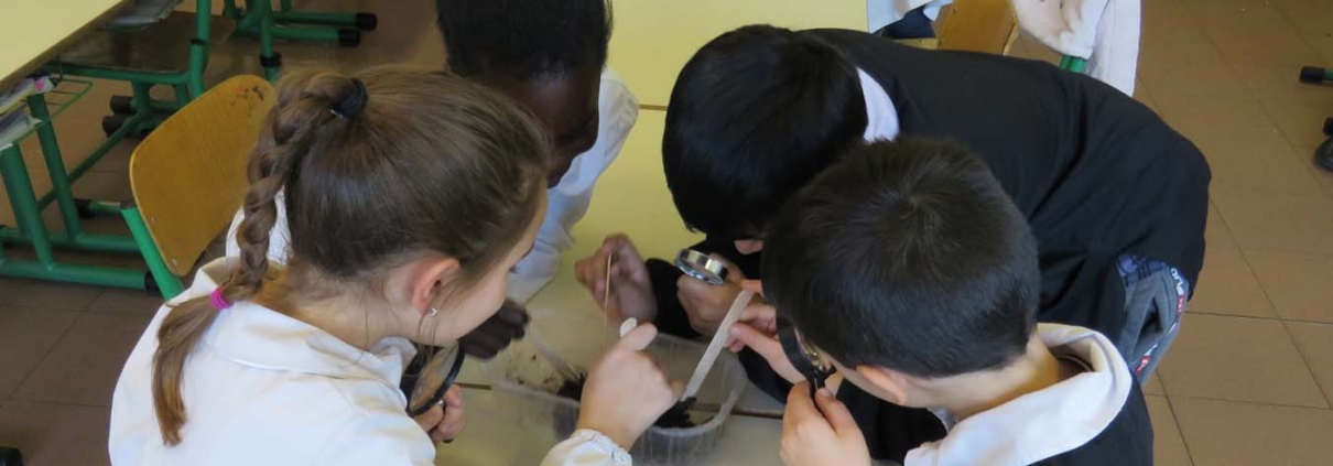 , Torna la scuola del riciclo: ripartono i laboratori di Gelsia Ambiente, Gelsia Ambiente